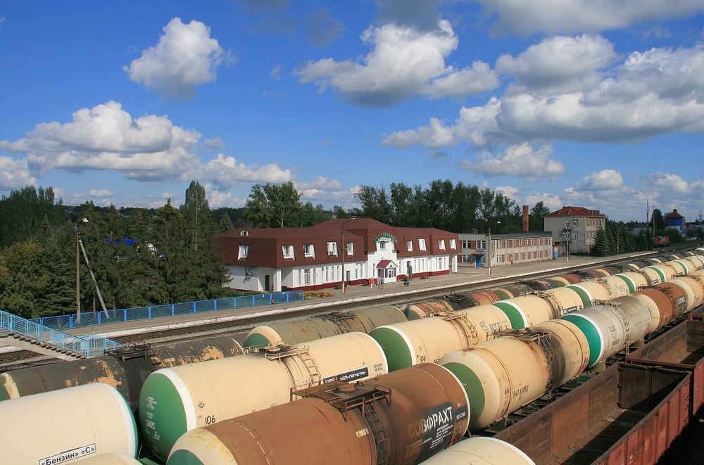 Город Димитровград