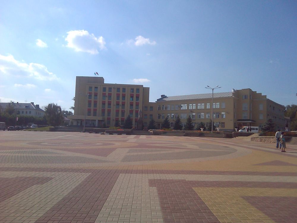 Город Лиски