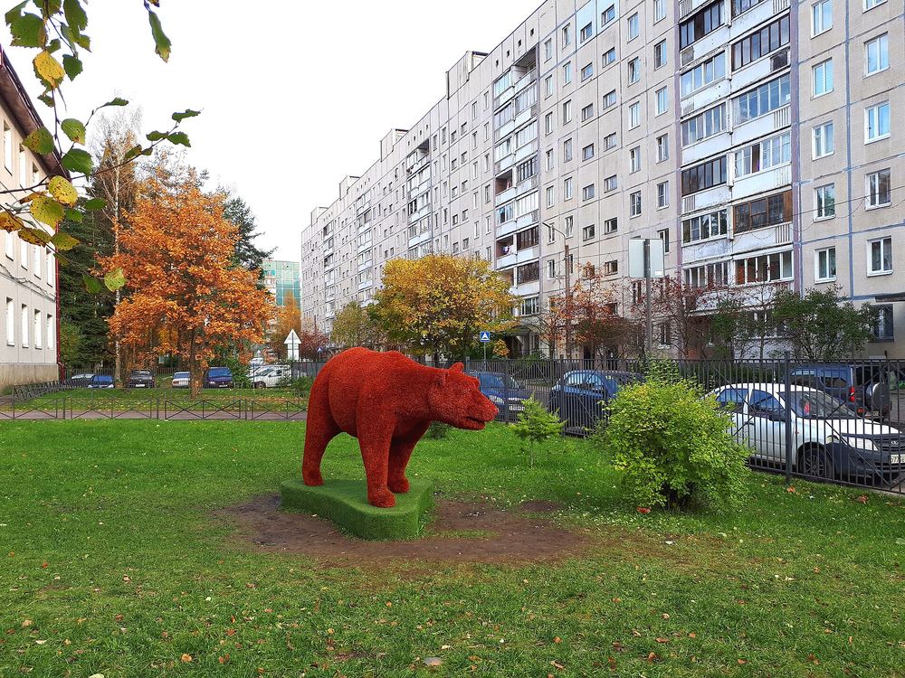 Город Сертолово